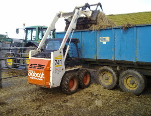 Livestock barn muck clearance